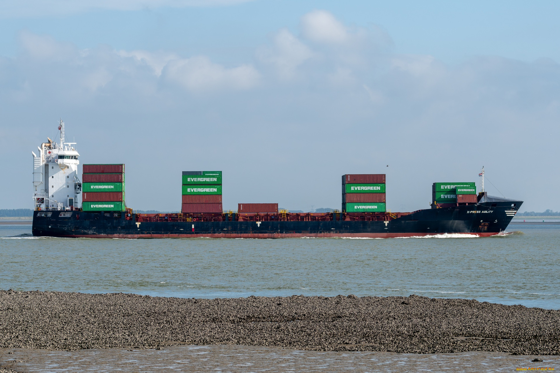 container ship, �������, �������� ����, container, ship